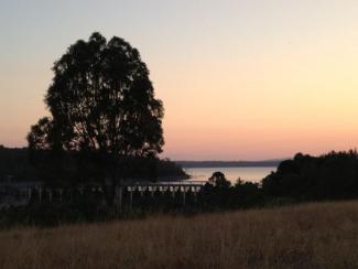 Dusk over Lake Glenmaggie last Sunday night, and I was busily packing for my Mountain Ash book tour to southern Queensland.