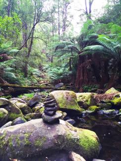 The Inspiration Behind a New Website