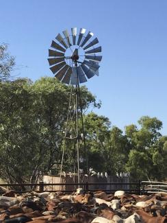 Time to stop pretending! Christmas is definitely on the way