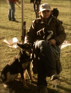 Kelpies, Life and the East Gippsland Field Days
