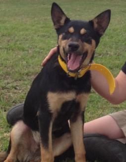 Hello Crosby! & Mother's Day Book idea's