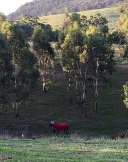 School Holidays on the Farm