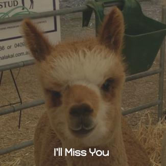 I have a very good reason for not being at Lardner Park Farm Field days in 2016.