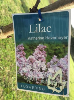 Winter is Nearly Behind Us