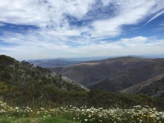 Mount Hotham - Victoria