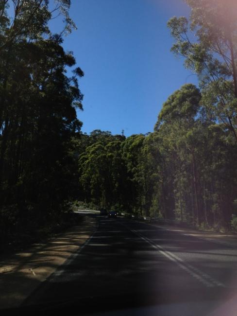 But it was lovely to get home last weekend, a weekend full of favourite things - family, country music, & swimming at a local waterhole