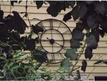 Clock and Vine