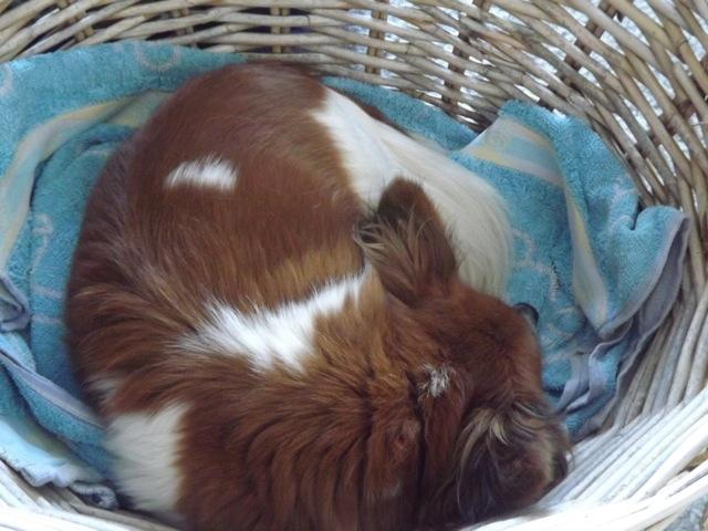 (Much better here inside with mum, but just don't tell H)