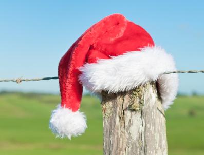 Australian Christmas