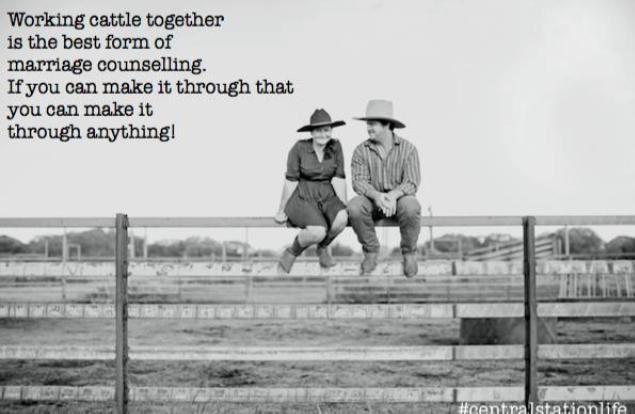 Cattle Yards - Just saying