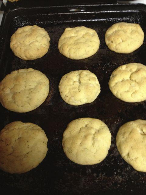 Lemon Myrtle Biscuits