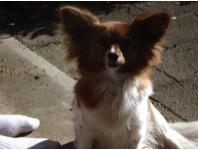 Who’s this wild looking woman?