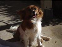 AHA … My mum’s back!