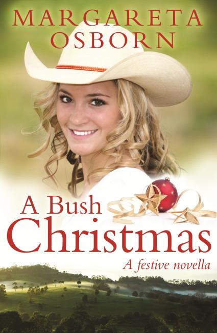 ... and isn't she just gorgeous! Let me introduce you to Jaime Hanrahan, the heroine of my new e-book novella, A BUSH CHRISTMAS