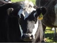 HA! So how long are you here for this time?