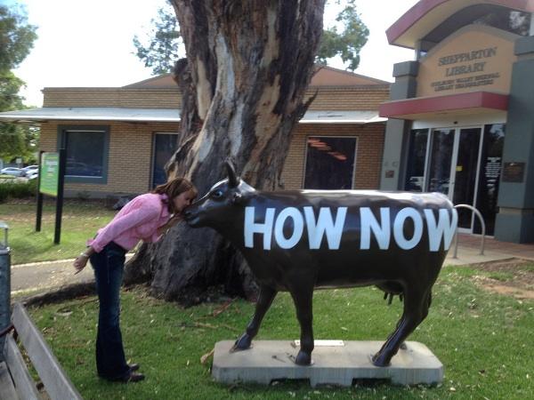 How Now Brown Cow - Shepparton