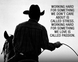 Working Hard for Something We Don't Care about is called stress