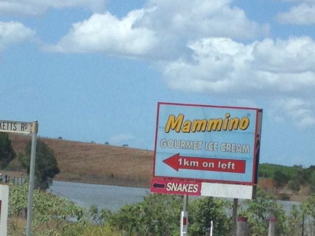 ‘No, Jess! No way am I voluntarily going anywhere near snakes!’ says the tough bushie to the more refined city slicker.