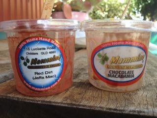 Mammino Gourmet Ice Cream Choices