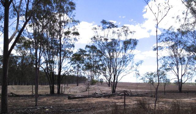 Drought striken landscape