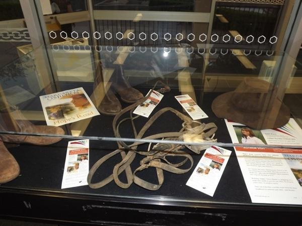 Dubbo Library Display