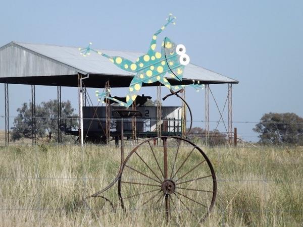 A very cute froggie.