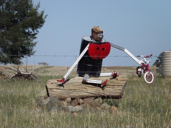 I'm not entirely sure what this fella was up to other than perhaps he didn't like pink!? Any suggestions?