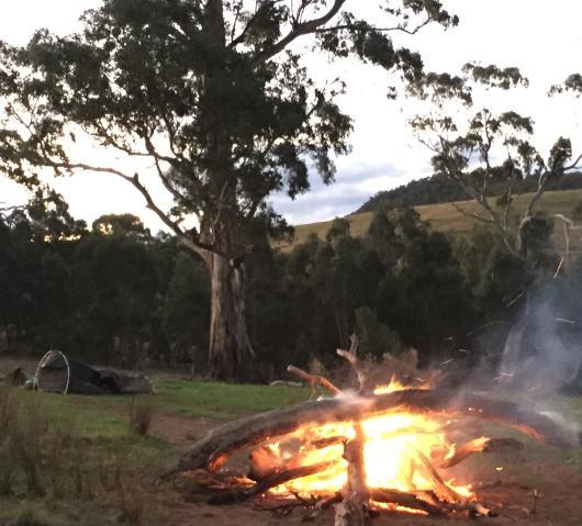 Love a good campfire we do!