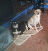 Image Add a new file Open File Browser No file chosen One file only. 24 MB limit. Allowed types: png gif jpg jpeg.