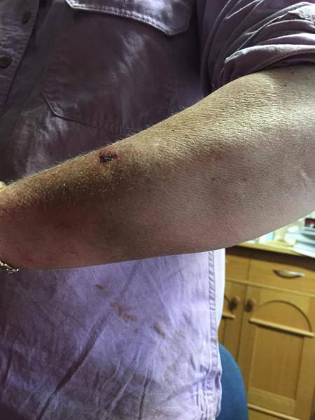 And it can be a bit risky - there are some big, bolshy bulls in that mix