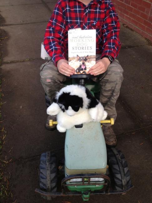 Thankfully this year The Farm Boy wanted to go as just that.