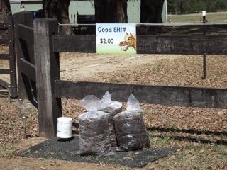 Budding Entrepreneurship