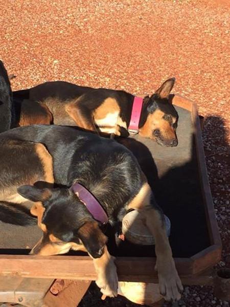 And the place they are doing it in really gloriously beautiful