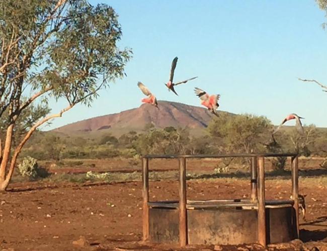 Aren't these colours just amazing?