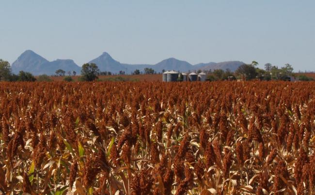 Winter, Spring, Summer, Autumn?