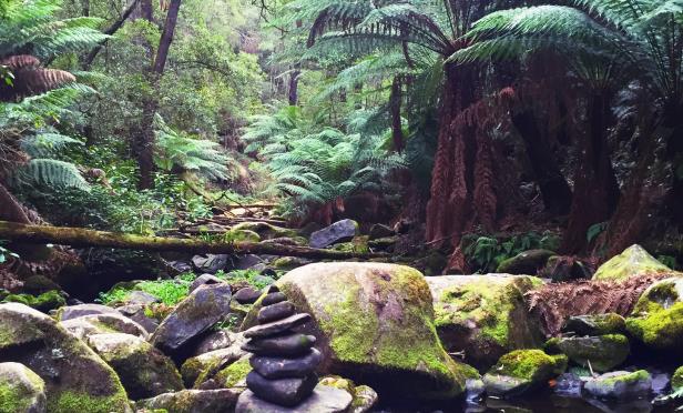 The Inspiration Behind a New Website