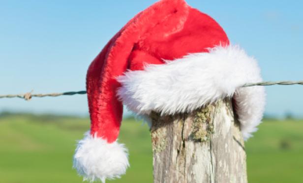 Christmas is Coming - spread the news