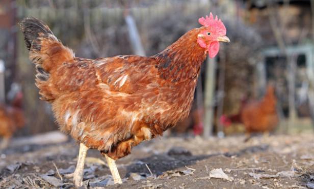 I'm Not a Big Fan of Housework