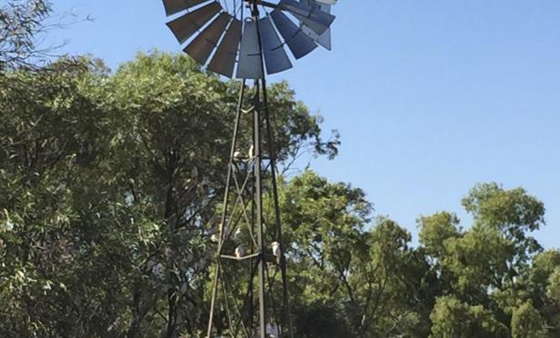 Time to stop pretending! Christmas is definitely on the way