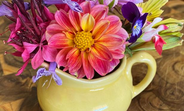 Merry Christmas & a good book for the holiday season!