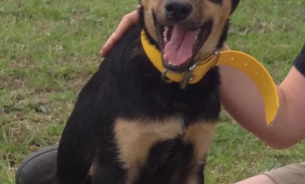 Hello Crosby! & Mother's Day Book idea's