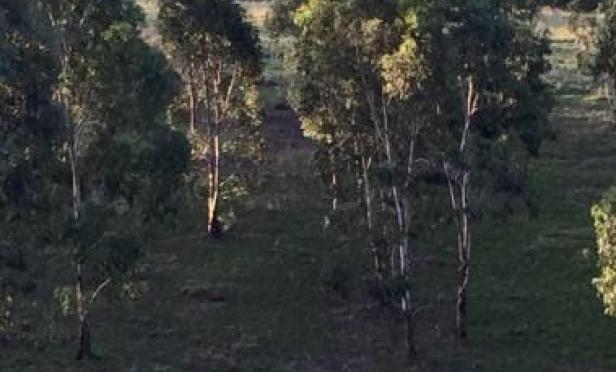 School Holidays on the Farm