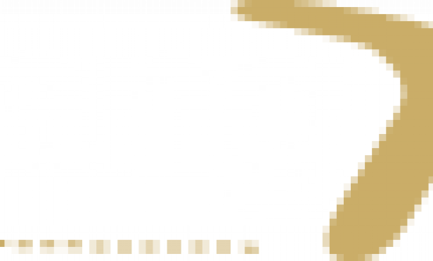 Player Profile at Boomerang Book's Website