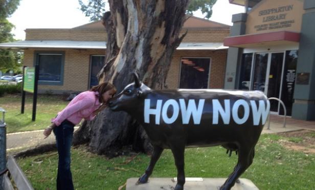 How Now Brown Cow - Shepparton