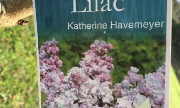 Winter is Nearly Behind Us